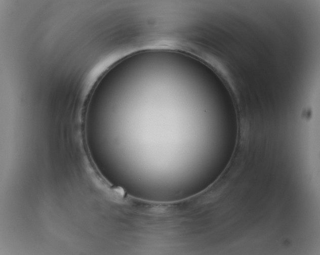 X0000112871480200908211414