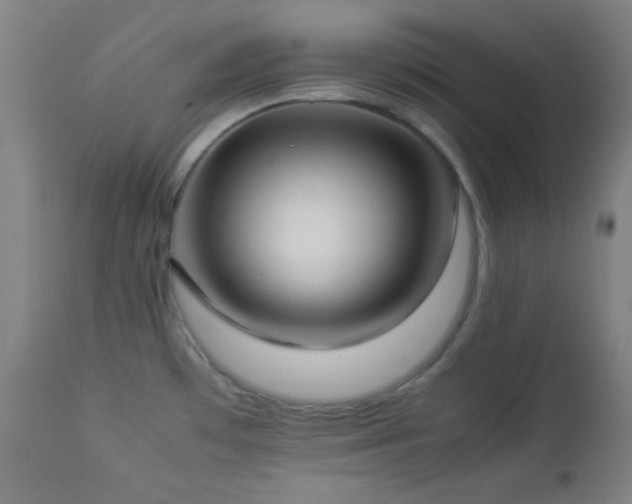 X0000112871481200908211414