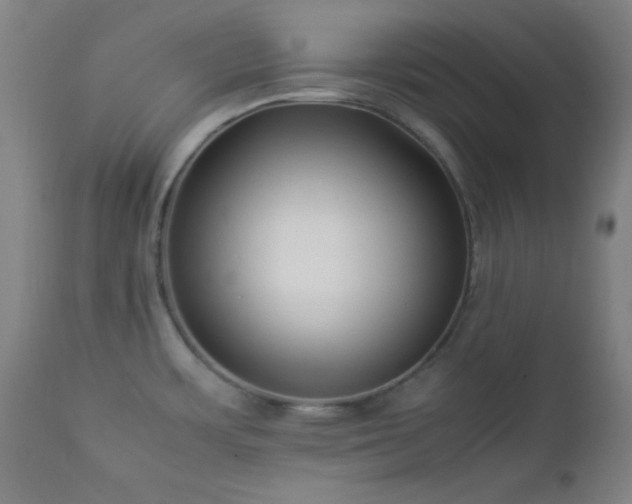 X0000112871483200908211414