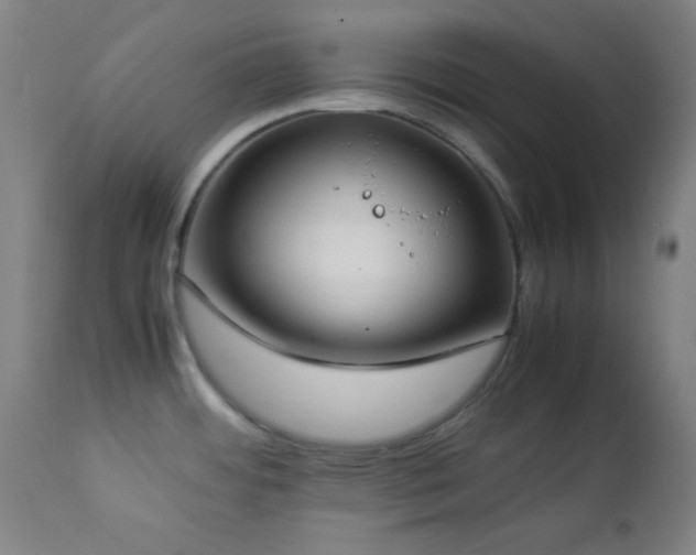 X0000112871484200908211414