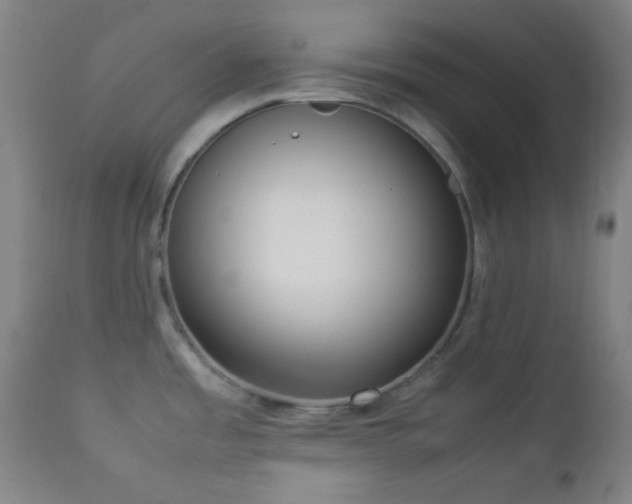 X0000112871485200908211414