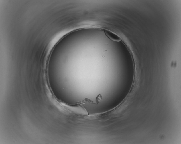 X0000112871488200908211414