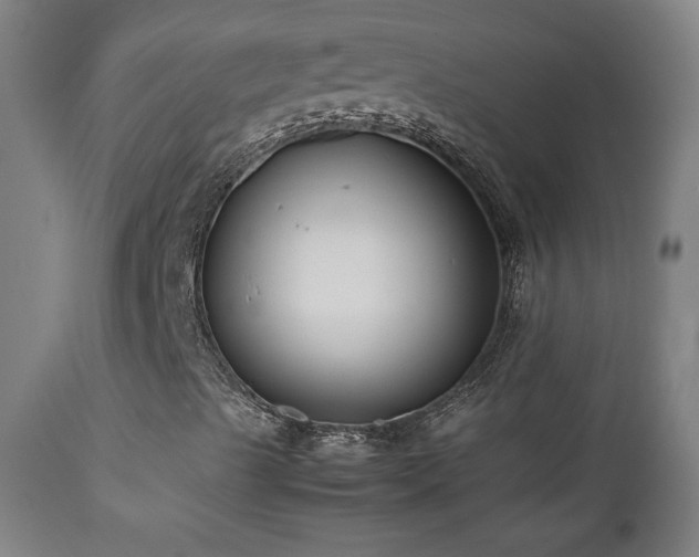 X0000112871489200908211414