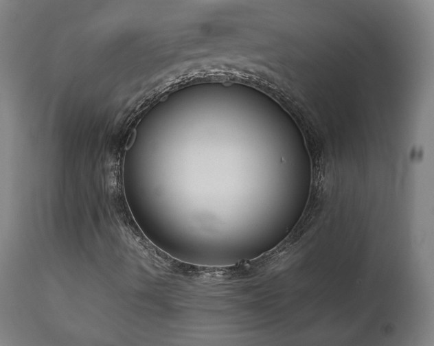 X0000112871490200908211414