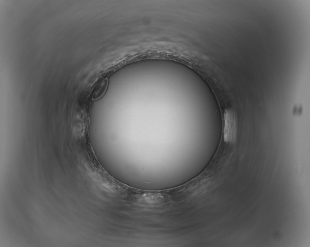 X0000112871491200908211414