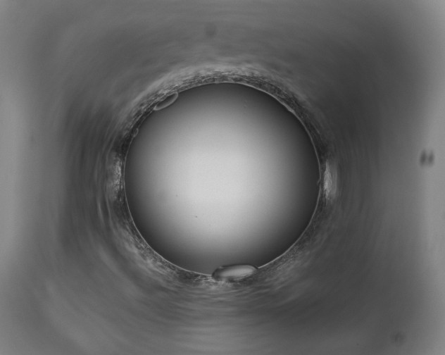 X0000112871492200908211414