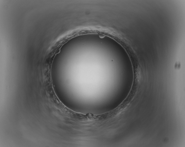 X0000112871494200908211414