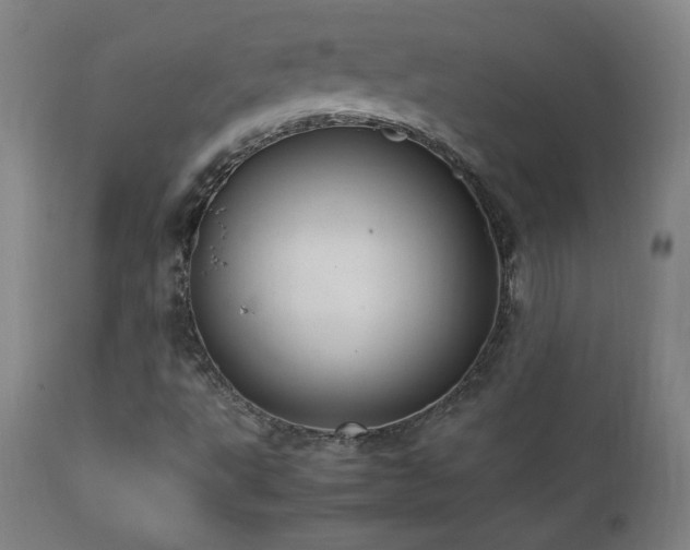 X0000112871495200908211414