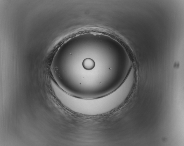 X0000112871496200908211414