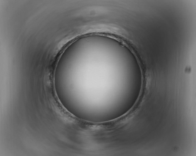 X0000112871497200908211414
