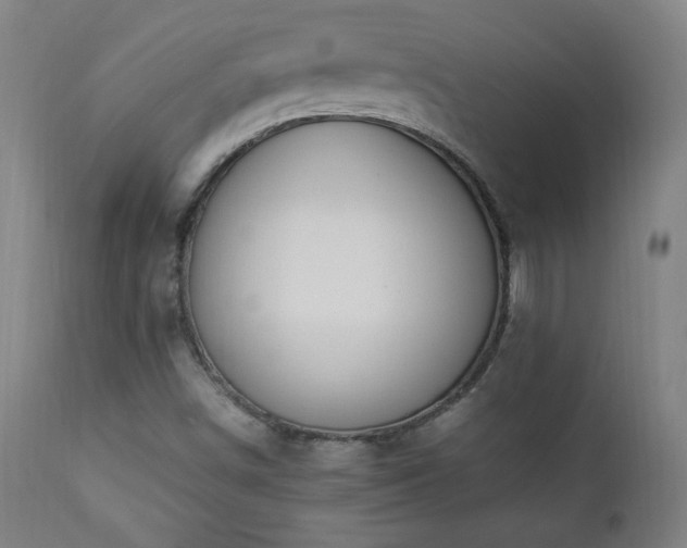 X0000112871498200908211414