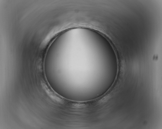 X0000112871499200908211414