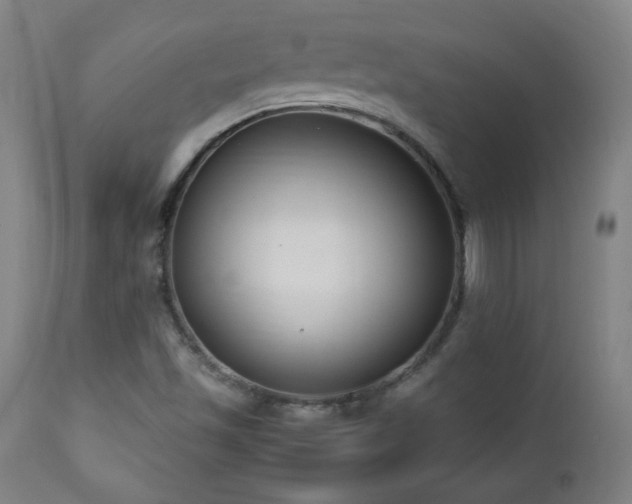 X0000112871501200908211414