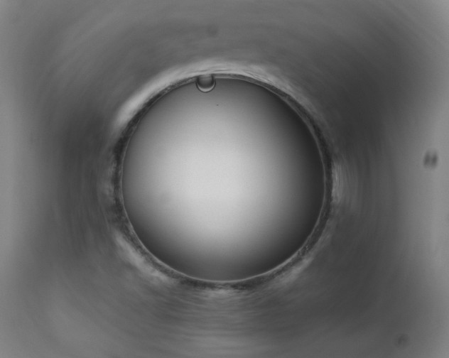 X0000112871502200908211414