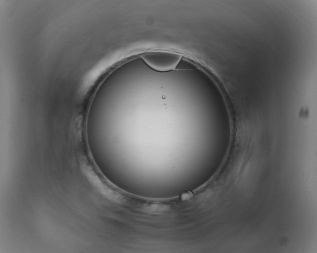 X0000112871503200908211414
