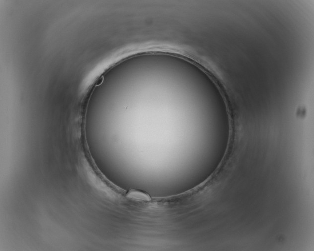 X0000112871504200908211414