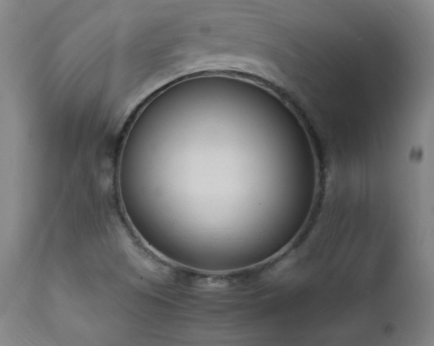 X0000112871505200908211414