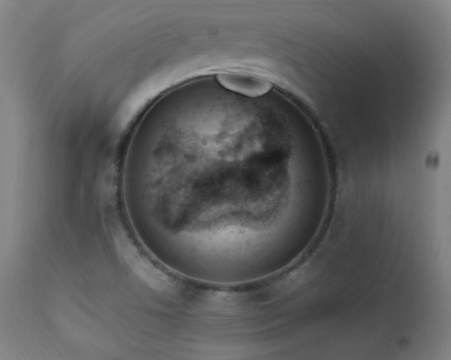 X0000112871506200908211414