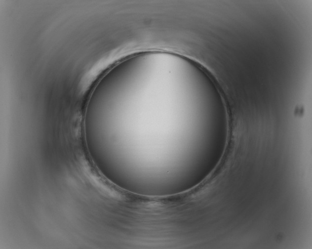 X0000112871507200908211414