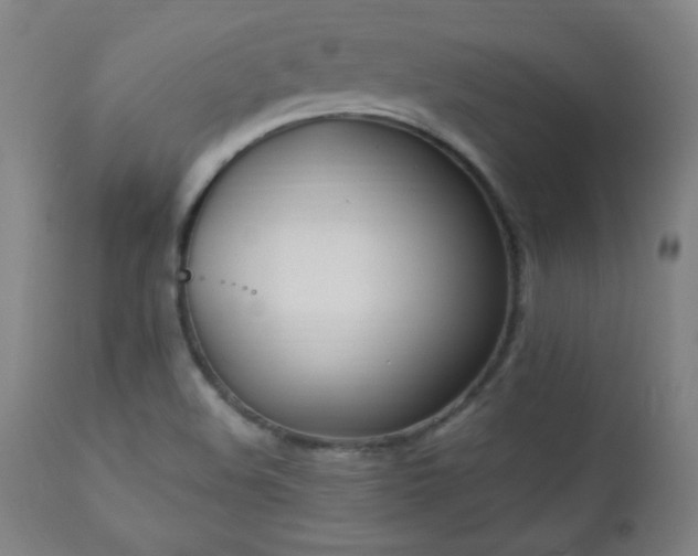 X0000112871508200908211414