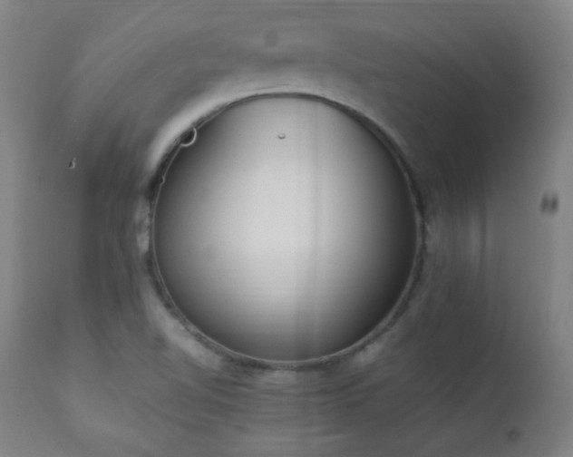 X0000112871510200908211414