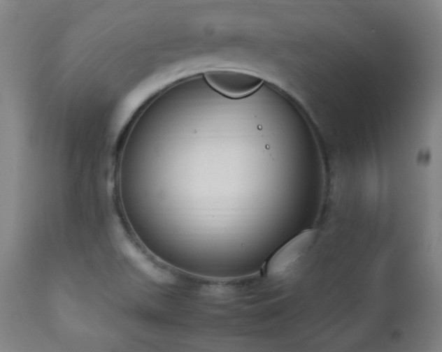 X0000112871511200908211414