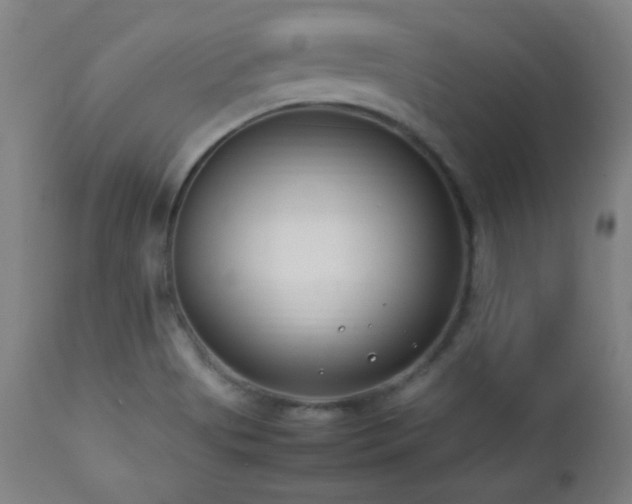 X0000112871513200908211414