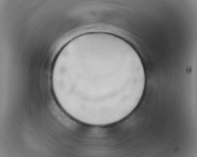 X0000112871514200908211414