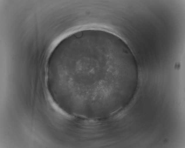 X0000112871515200908211414