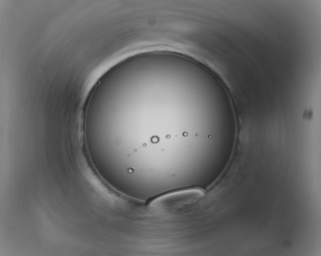 X0000112871516200908211414