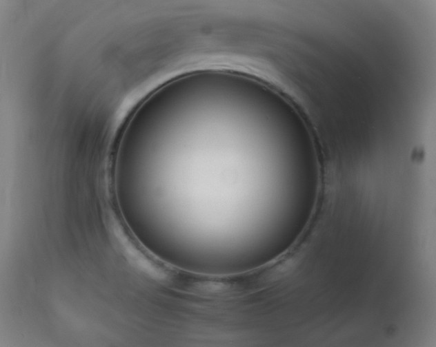 X0000112871517200908211414