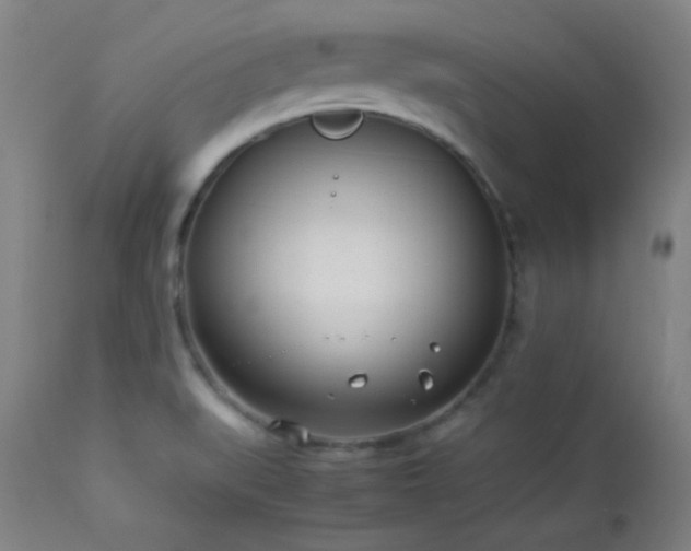 X0000112871519200908211414