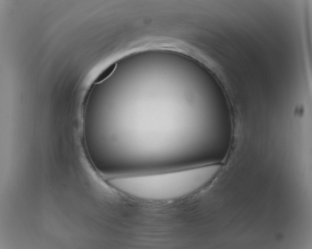 X0000112871520200908211414
