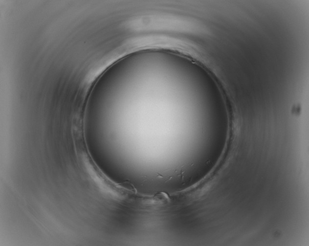 X0000112871521200908211414