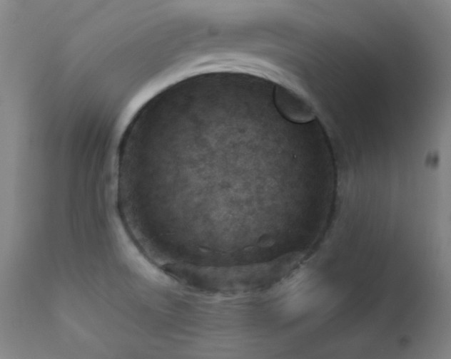 X0000112871522200908211414