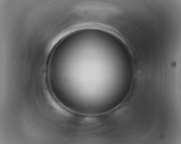 X0000112871523200908211414