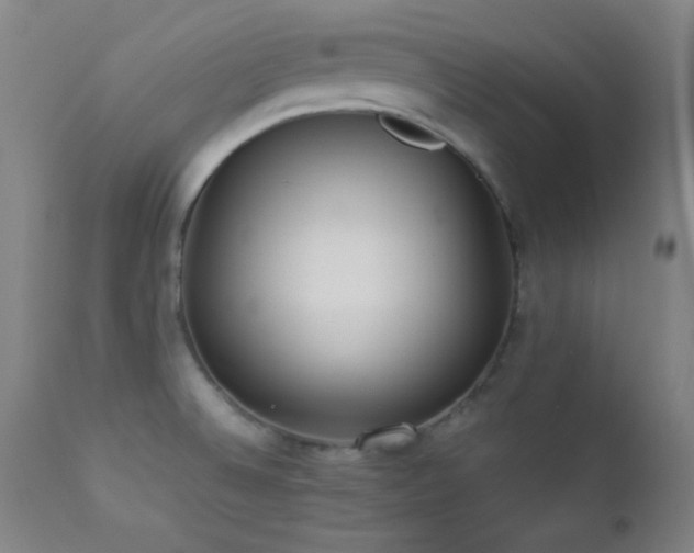 X0000112871524200908211414
