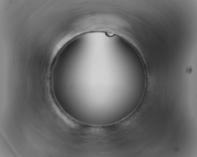 X0000112871525200908211414