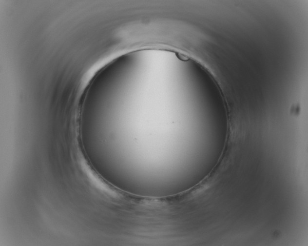 X0000112871526200908211414
