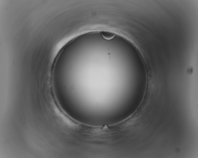 X0000112871527200908211414