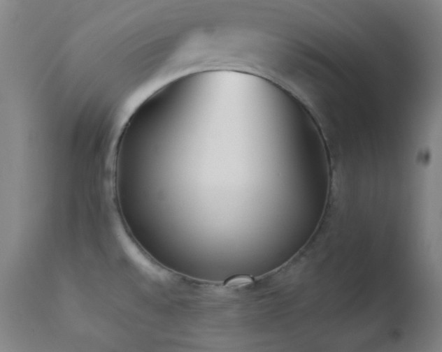 X0000112871528200908211414