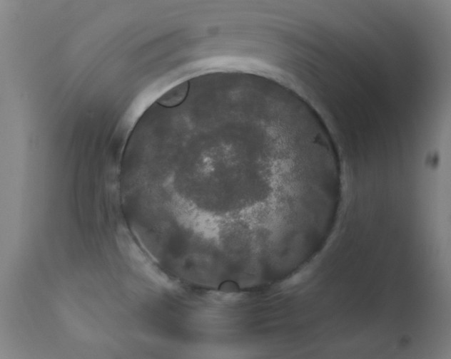 X0000112871529200908211414