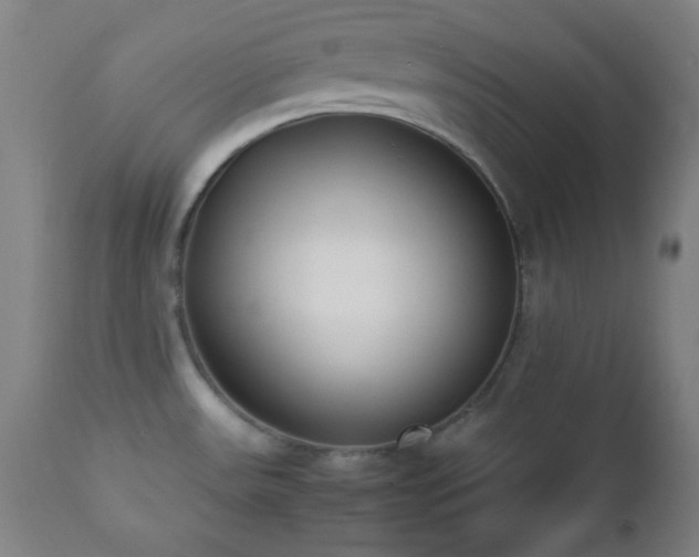 X0000112871531200908211414