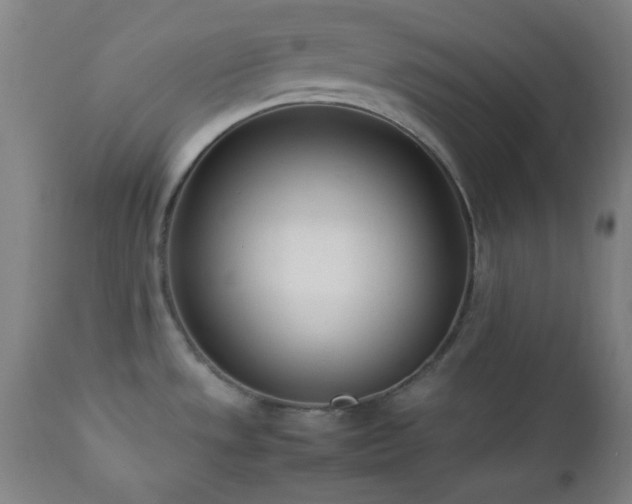 X0000112871533200908211414