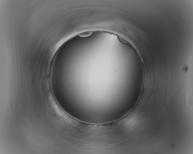 X0000112871534200908211414