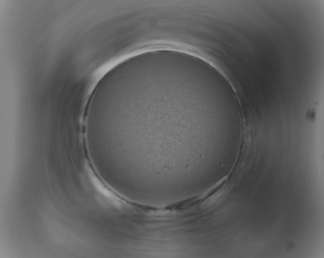 X0000112871535200908211414