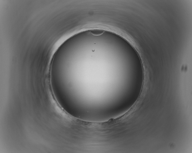 X0000112871536200908211414