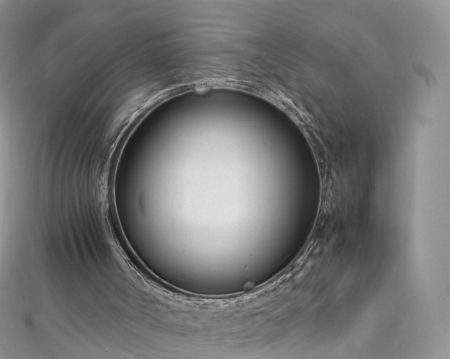 X0000112870002200908281635