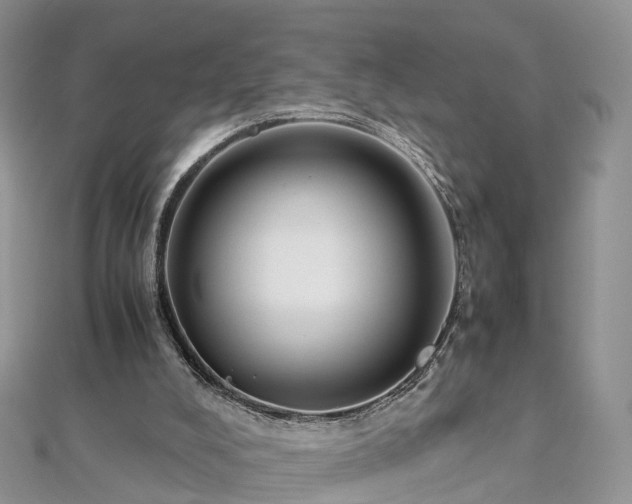 X0000112870008200908281635