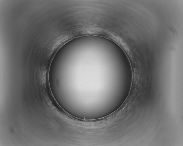 X0000112870010200908281635